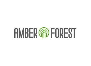 amber-forest